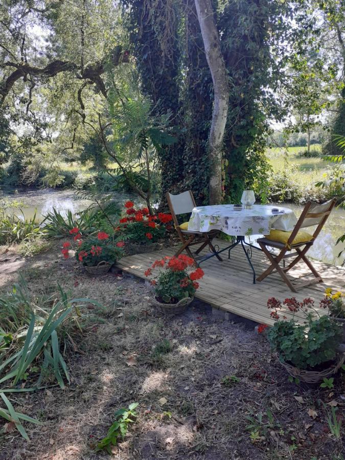 Gite " Jardin Peyrona" Visite Zoo Beauval Et Chateaux De Loire Beaulieu-les-Loches ภายนอก รูปภาพ