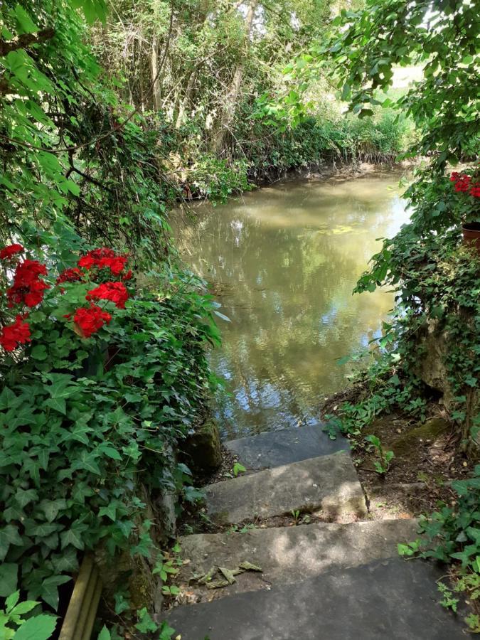 Gite " Jardin Peyrona" Visite Zoo Beauval Et Chateaux De Loire Beaulieu-les-Loches ภายนอก รูปภาพ