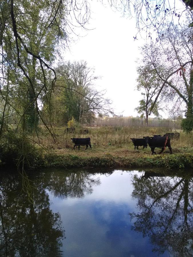 Gite " Jardin Peyrona" Visite Zoo Beauval Et Chateaux De Loire Beaulieu-les-Loches ภายนอก รูปภาพ
